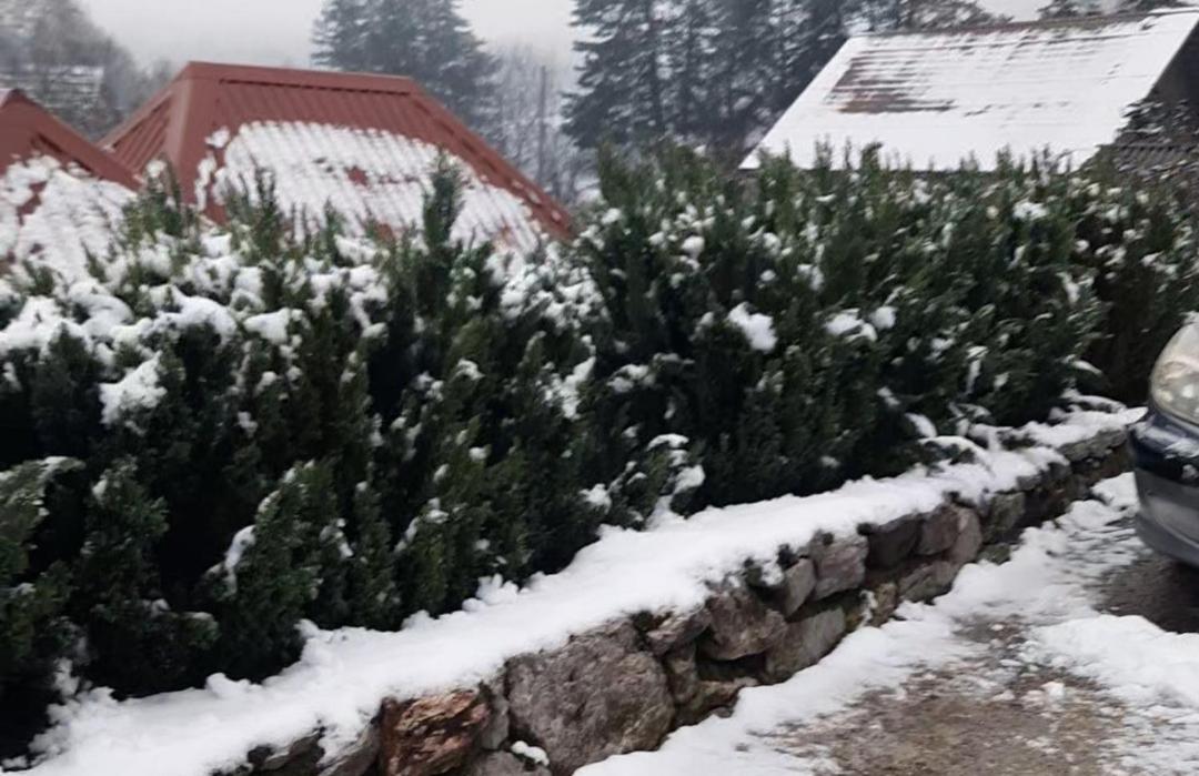 Apartman Bella Vita Kolašin Exterior foto
