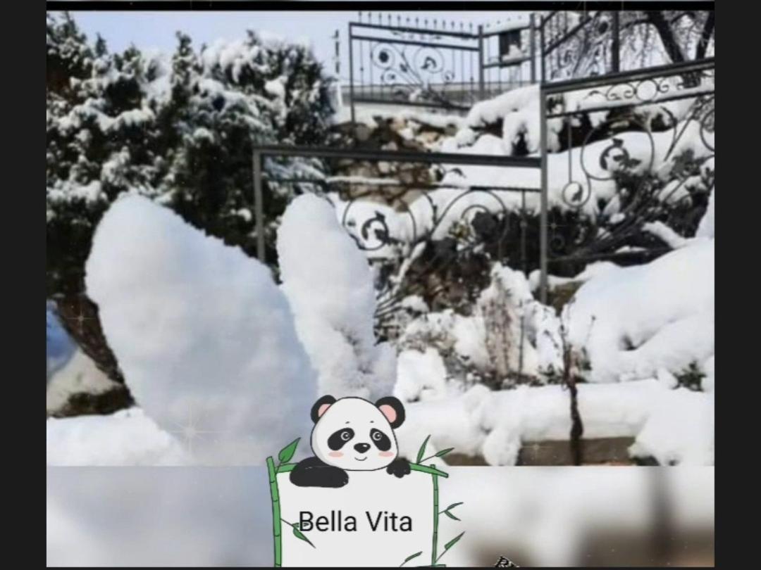 Apartman Bella Vita Kolašin Quarto foto